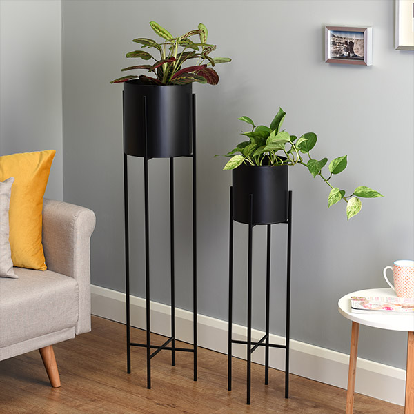 PLANT STANDS